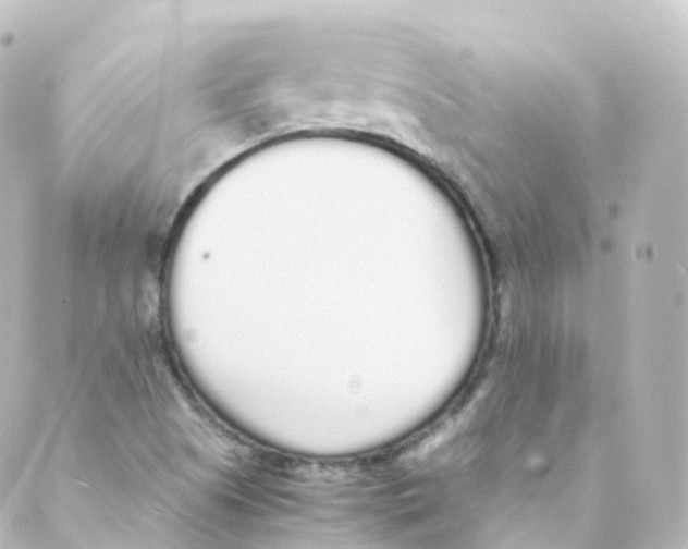 X0000088641505200706221533