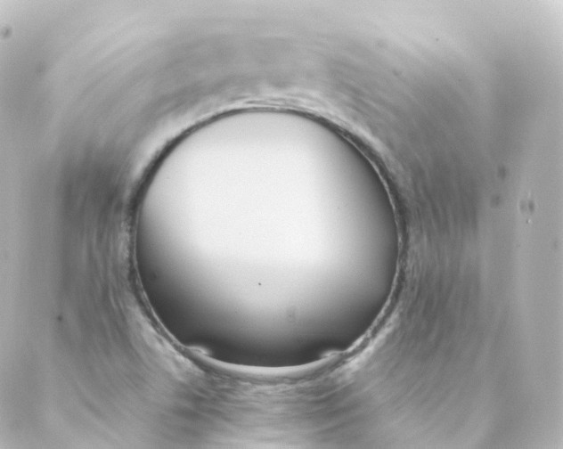 X0000088641506200706221533