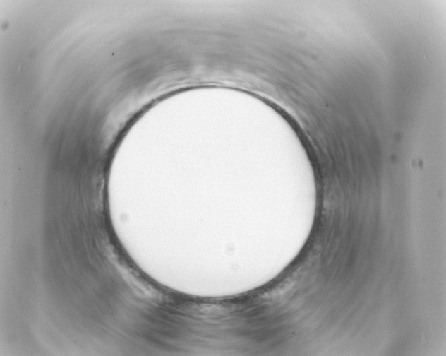 X0000088641507200706221533