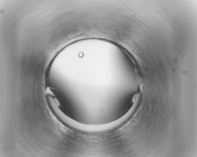 X0000088641508200706221533