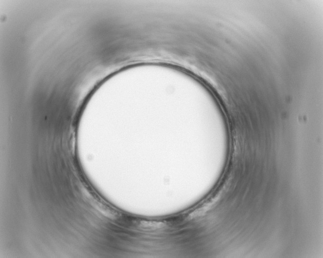 X0000088641509200706221533