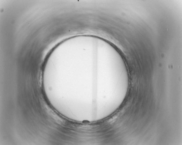 X0000088641510200706221533