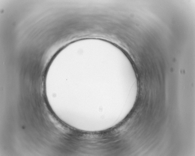 X0000088641511200706221533