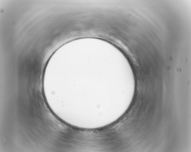 X0000088641512200706221533