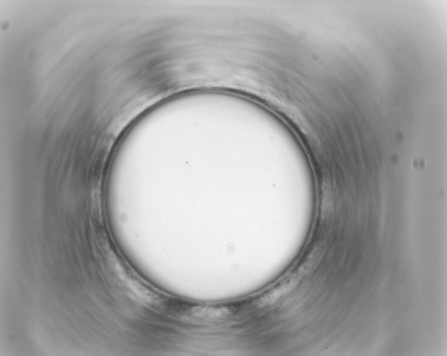 X0000088641513200706221533