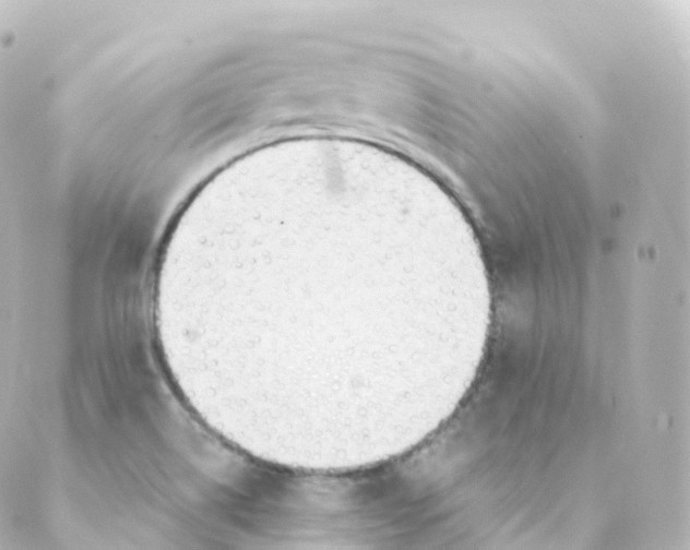 X0000088641514200706221533