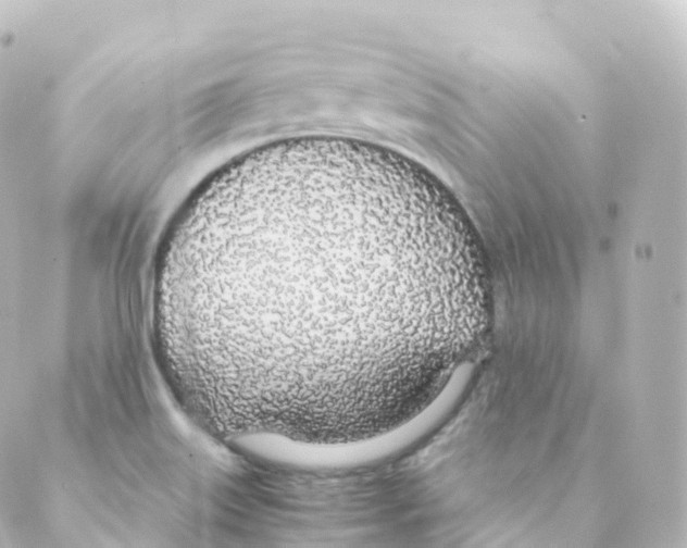 X0000088641515200706221533