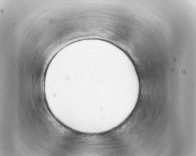 X0000088641516200706221533