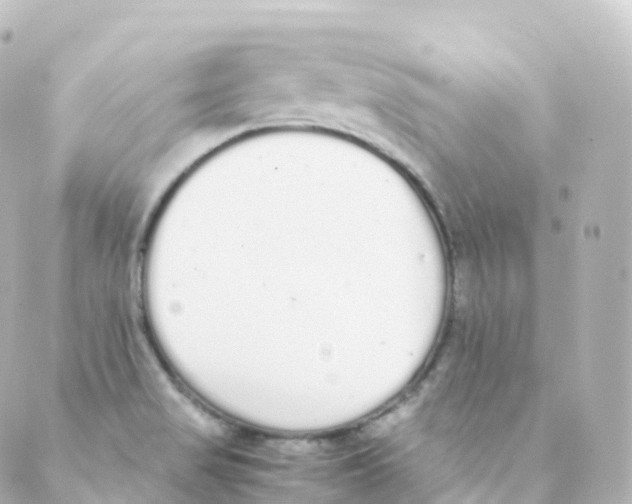 X0000088641517200706221533