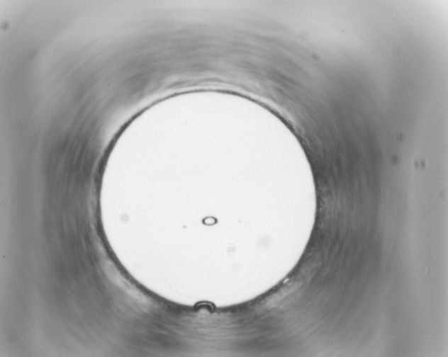 X0000088641518200706221533