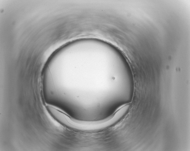 X0000088641519200706221533