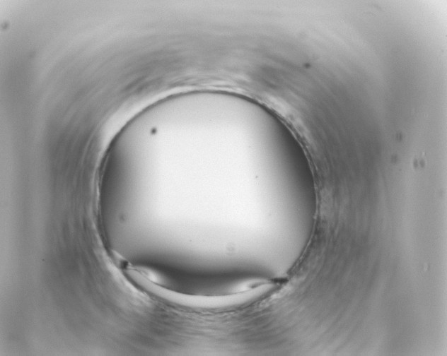 X0000088641520200706221533