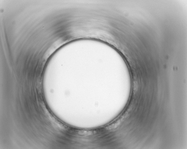 X0000088641521200706221533