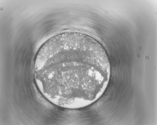 X0000088641522200706221533