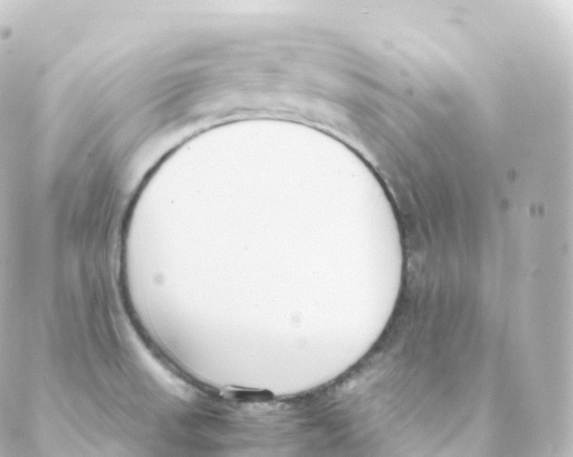 X0000088641523200706221533