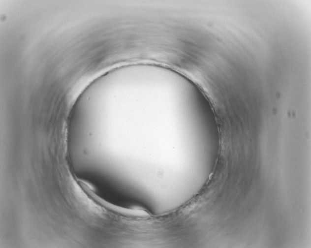 X0000088641524200706221533