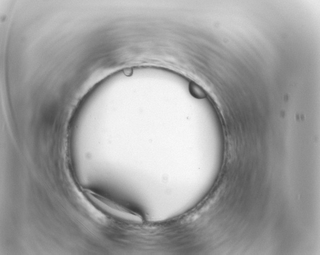 X0000088641525200706221533