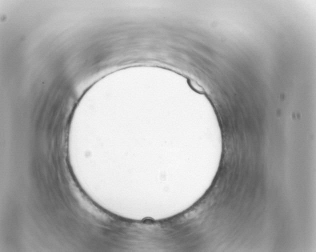 X0000088641526200706221533