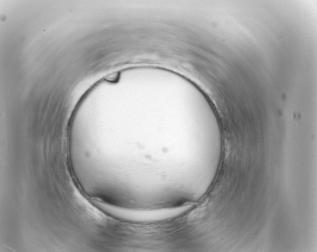 X0000088641527200706221533