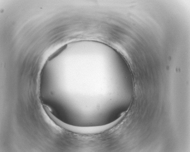 X0000088641528200706221533