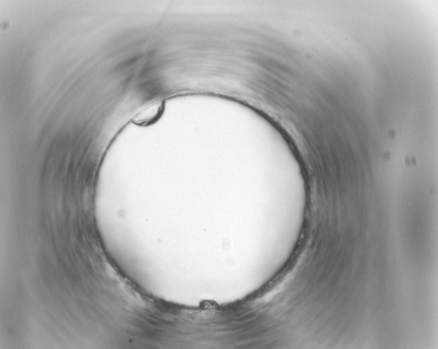 X0000088641529200706221533