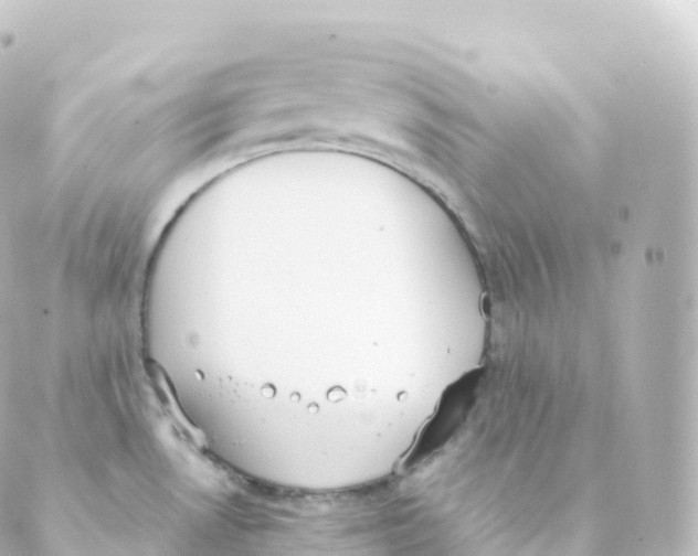 X0000088641530200706221533