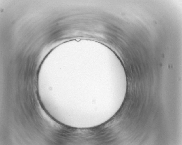 X0000088641531200706221533