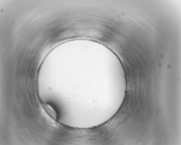 X0000088641532200706221533