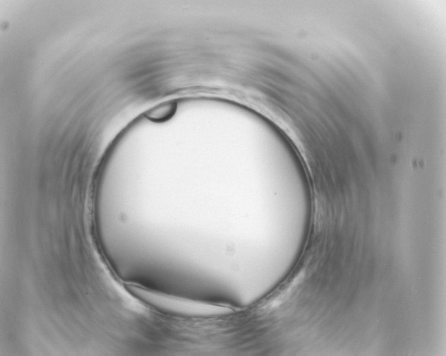 X0000088641533200706221533