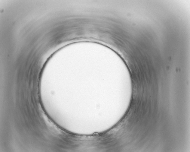 X0000088641534200706221533