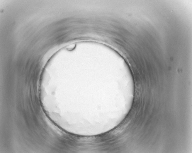 X0000088641535200706221533