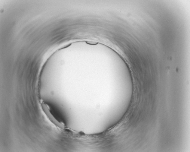 X0000088641536200706221533