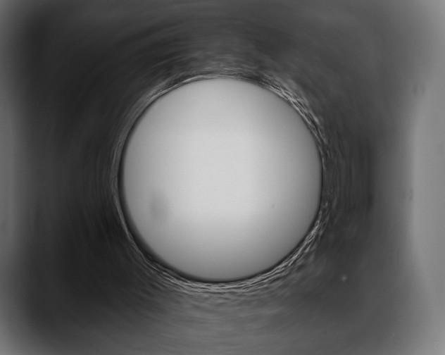 X0000088650003200705250951