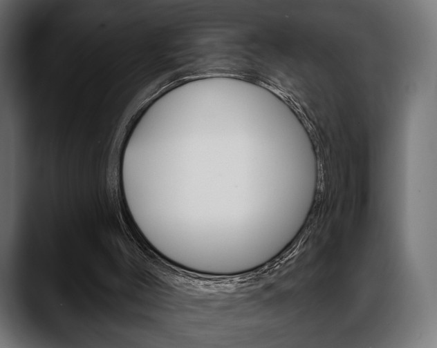 X0000088650004200705250951
