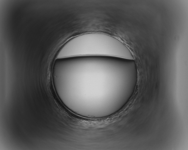 X0000088650005200705250951