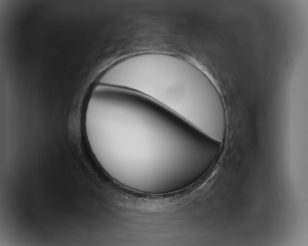 X0000088650008200705250951