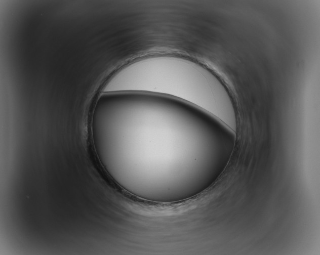 X0000088650015200705250951