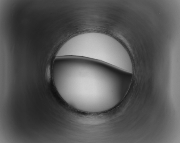 X0000088650020200705250951