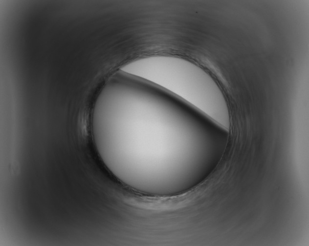 X0000088650023200705250951
