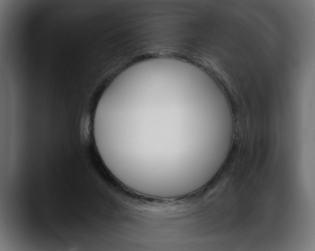 X0000088650024200705250951