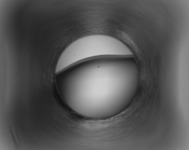 X0000088650025200705250951