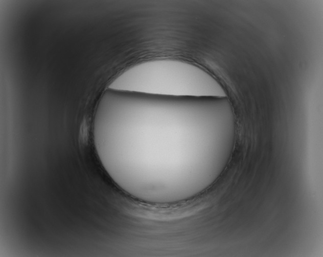 X0000088650026200705250951