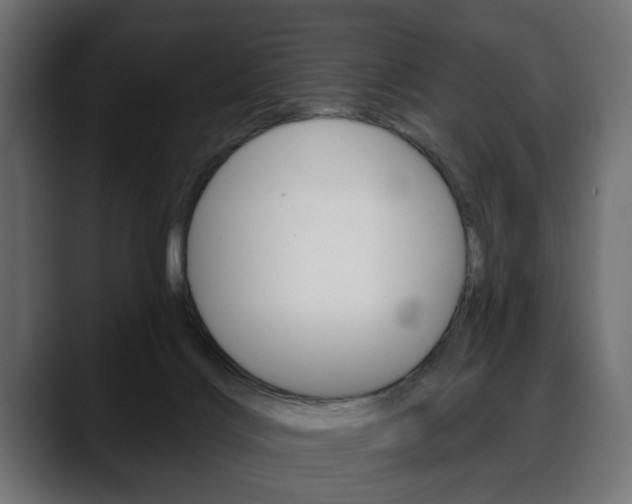 X0000088650028200705250951