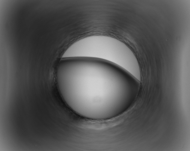 X0000088650029200705250951
