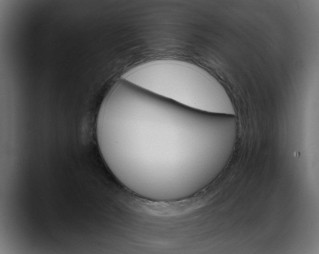 X0000088650030200705250951