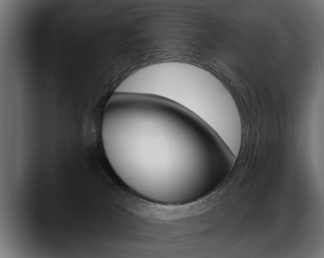 X0000088650039200705250950