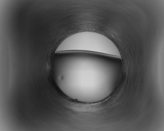 X0000088650040200705250950