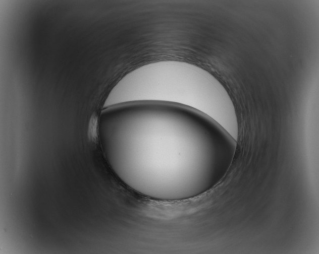 X0000088650041200705250950