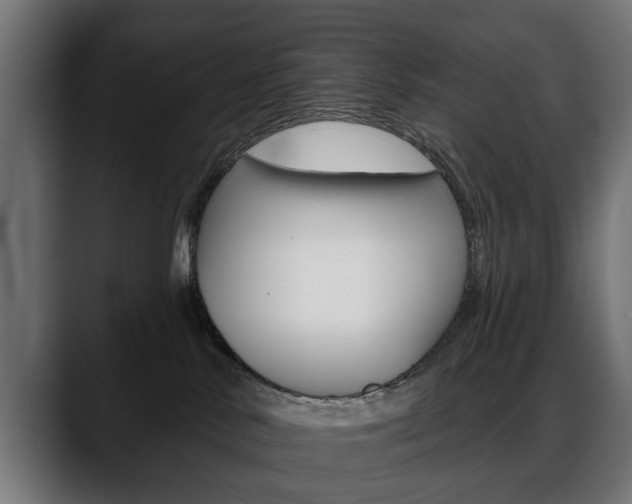 X0000088650042200705250950