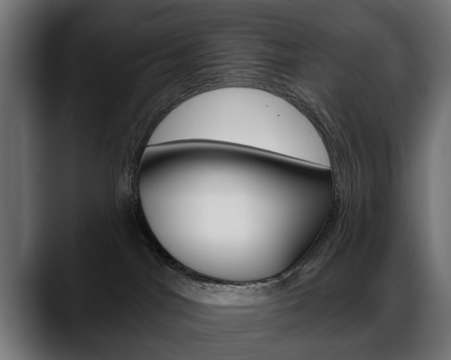 X0000088650044200705250950